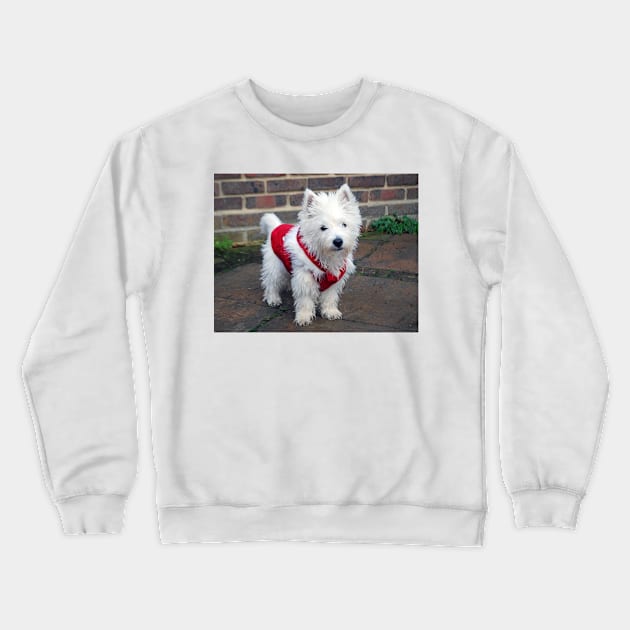 Christmas Pup Crewneck Sweatshirt by princess-pirate